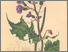[thumbnail of 11923_1.png]
