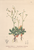 [thumbnail of 11823_1.png]