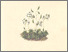 [thumbnail of 11702_1.png]