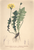 [thumbnail of 11915_1.png]