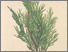[thumbnail of 12326_1.png]