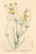 [thumbnail of 11762_1.png]