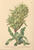 [thumbnail of 11946_1.png]