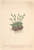 [thumbnail of 11822_1.png]