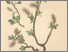 [thumbnail of 12324_1.png]