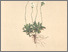 [thumbnail of 12284_1.png]