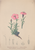 [thumbnail of 11729_1.png]