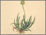 [thumbnail of 12351_1.png]