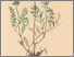 [thumbnail of 11778_1.png]