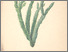 [thumbnail of 12382_1.png]