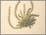 [thumbnail of 12384_1.png]