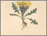 [thumbnail of 11927_1.png]