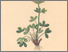 [thumbnail of 11767_1.png]