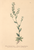 [thumbnail of 11708_1.png]