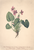 [thumbnail of 11721_1.png]
