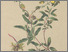 [thumbnail of 11719_1.png]