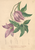 [thumbnail of 11649_1.png]