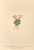 [thumbnail of 12297_1.png]