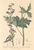 [thumbnail of 11679_1.png]