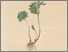 [thumbnail of 11669_1.png]