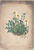 [thumbnail of 11665_1.png]