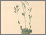 [thumbnail of 11704_1.png]