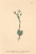 [thumbnail of 11841_1.png]