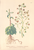 [thumbnail of 11836_1.png]