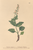 [thumbnail of 11864_1.png]