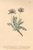 [thumbnail of 11777_1.png]