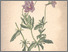 [thumbnail of 11725_1.png]