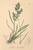 [thumbnail of 12377_1.png]