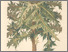 [thumbnail of 11905_1.png]