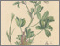 [thumbnail of 11789_1.png]