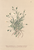 [thumbnail of 11735_1.png]