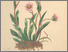 [thumbnail of 11873_1.png]