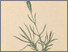 [thumbnail of 11732_1.png]