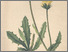 [thumbnail of 11929_1.png]