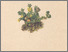 [thumbnail of 11811_1.png]
