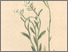 [thumbnail of 11685_1.png]