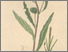 [thumbnail of 11909_1.png]