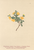[thumbnail of 11718_1.png]