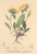 [thumbnail of 11764_1.png]