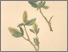 [thumbnail of 12319_1.png]