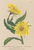 [thumbnail of 11933_1.png]