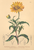 [thumbnail of 11876_1.png]