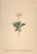 [thumbnail of 11861_1.png]