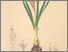 [thumbnail of 12340_1.png]