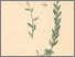 [thumbnail of 11707_1.png]