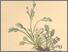 [thumbnail of 11901_1.png]